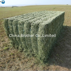 China High Quality PP Twine Manufacture Baler Twine For Agriculture In China supplier