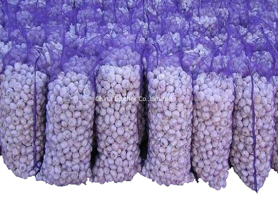 Plastic Polypropylene Woven Industrial Mesh Bags For Orange / Garlic , Tubular Shaped supplier