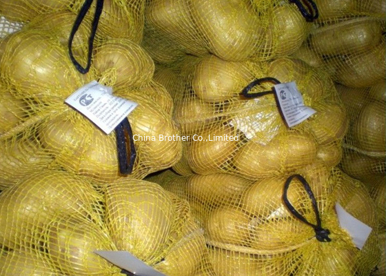 PE Polyethylene Plastic Woven Mesh Fruit And Vegetable Bags supplier