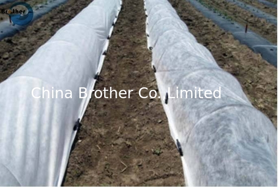 Custom color waterproof spun-bonded nonwoven fabric for bags supplier