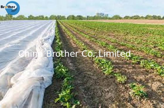 PP Embossed Non woven Fabric for Wrapping Flower 3D Embossed Nonwoven Fabric supplier
