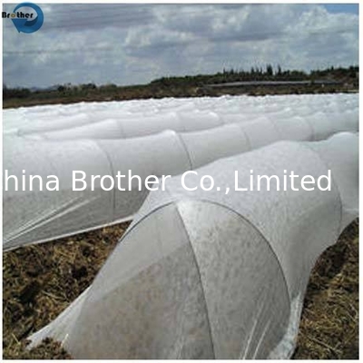 Custom price d cut shopping bag fabric material polypropylene spunbond non woven fabric rolls supplier