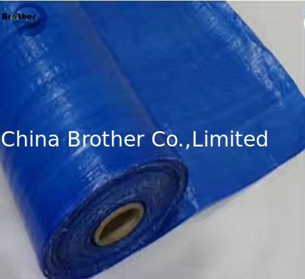 2M X 100M Pe Tarpaulin Roll Logo Print Waterproof Pe Tarp Ready Made Pe Tarpaulin supplier