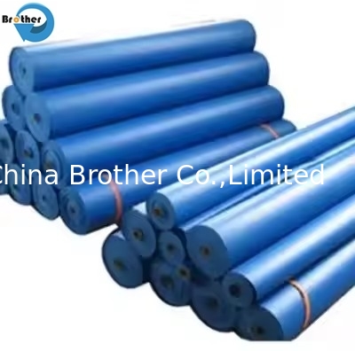 Waterproof PE Tarpaulin in Rolls Blue/PE Tarpaulin for Tent in China supplier