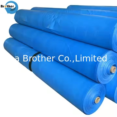 China Manufacturer All Kinds Waterproof Heavy Duty Tarp Canvas PE Tarpaulin Roll supplier