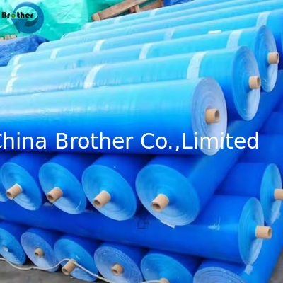 Tarpaulin Factory-made Canvas Polyethylene Material Fabric Waterproof Roof Heavy Duty Recycled Tarps Roll supplier
