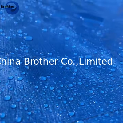 Blue Tarp Waterproof PE Tarpaulin 12x14 Feet Medium Heavy Duty All Purpose Poly Tarps Cover Tarpaulins Against Water supplier