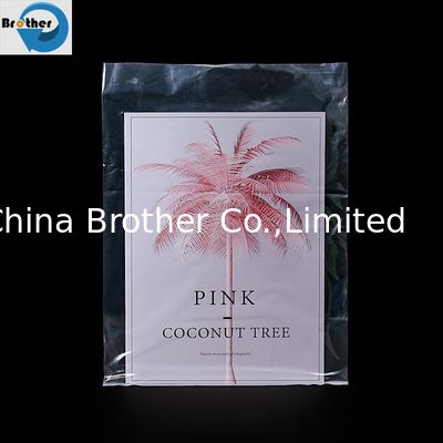 Wholesale HDPE Household Flat Pockets Waterproof and Moisture-Proof Food Bags Food Grade Flat Pockets Bags