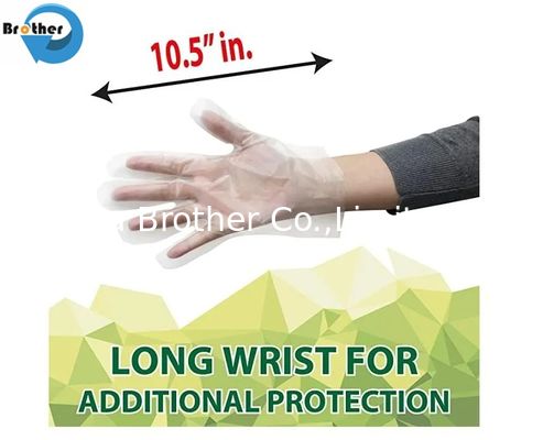 Gloves for Restaurant, Food Prep Glove, Hand Gloves Water Proof, PE Gloves Disposable Food Grade, Small Gloves
