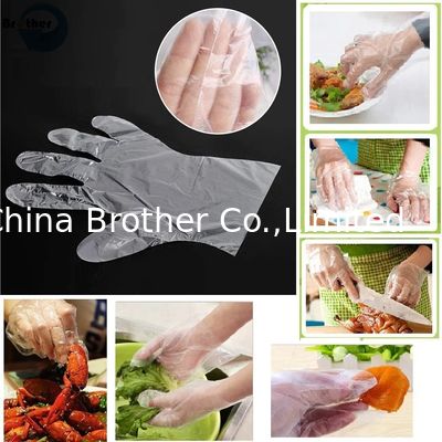 Safe Glove, Disposable PE Glove, Gloves Supplies, Disposable Sugcal Gloves, Hand Protector Glove