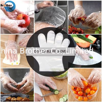 Clear Plastic Gloves, Cryo Protective Gloves, Disposable Food Prep Gloves, Gloves Poly, Production of Gloves