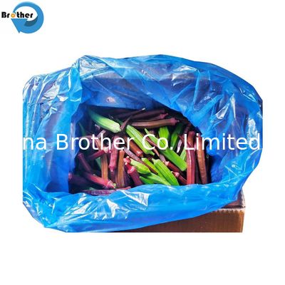 Custom Size Clear Back Plastic LDPE Square Bottom Reusable Flat Open Poly Bag in Box