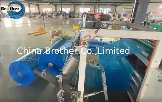 Custom PE Plastic Liner Big Size LDPE Roll or Bags 6 Mil Polyethylene Plastic Sheeting Made From China