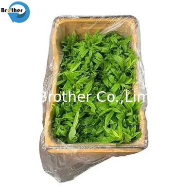 Custom Big Size Clear Good Quality Square Bottom Bags and Liners for Wholesale