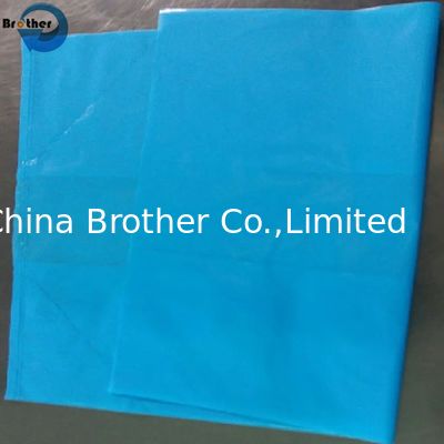 Manufacturer Wholesale Food Grade Low Density Clear Blue Box / Cartons Liners for Vegetables / Candy