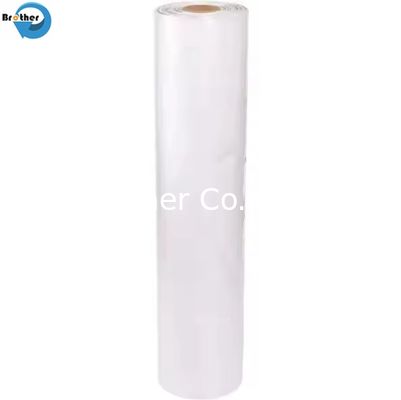 Hot Sale Transparent Polyethylene Sheet Perforated on Roll Table Cover Pallet Cover