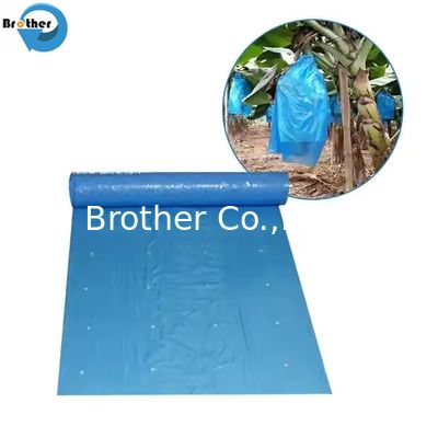 China Factory Direct Wholesale Blue Perforated Polyethylene Plastic Protection Banana Bunch Cover