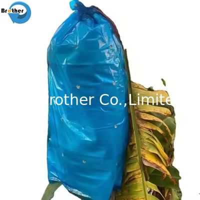 China Factory Direct Wholesale Blue Perforated Polyethylene Plastic Protection Banana Bunch Cover