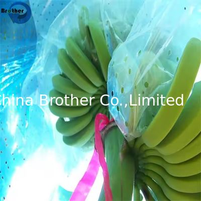 Hot Sale Agricultural Biodegradable HDPE Material Blue Perforated Polyethylene Banana Protection Bag