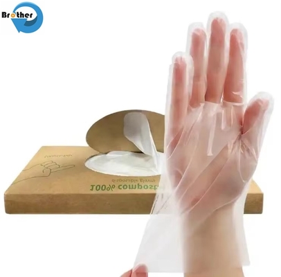 Transparent Biodegradable Disposable Gloves Middle Size 100pcs/Box for Parties supplier