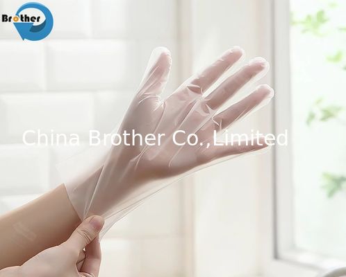 Food Safety Protective Transparent Compostable Disposable Gloves Plastic Gloves for Corn Strach