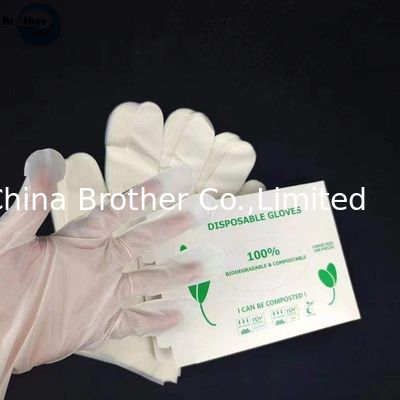 Food Safety Protective Transparent Compostable Disposable Gloves Plastic Gloves for Corn Strach