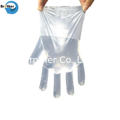 100% Biodegradable Transparent Disposable Waterproof Household Compostable Gloves Food Grade for Food Safety