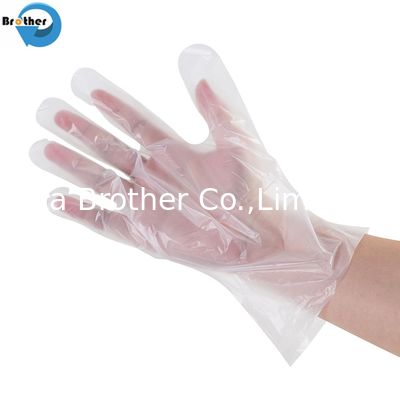 100% Biodegradable Transparent Disposable Waterproof Household Compostable Gloves Food Grade for Food Safety