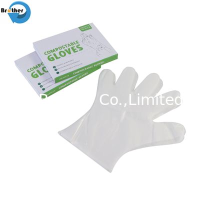 Food Grade Compostable Gloves Medium Thickness PE Material Biodegradable Disposable Tableware Package Certified Pla