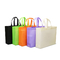 Gift PP Non Woven Decorative Reusable Laminated Shopping Bag supplier