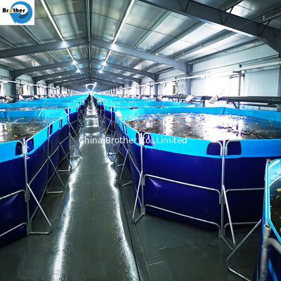 High strength plastic fish farm tank for fish keeping supplier