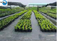Wholesale Ground Cover 100% Virgin PP Landscape Weed Control Mat Sulzer Fabric High Quality supplier