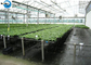 Ground Cover, Grass Weed Ground Cover Cloth Anti Grass Cloth Weed Fabric supplier