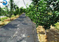 Garden Use Woven Weed Mat Plant Nursery Ground Cover Weed Control Mat PP Landscaping Fabric supplier