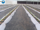 Woven Agriculture Fabric PP Ground Cover / UV Treated Durable Weed Barrier Grass Control Fabric supplier
