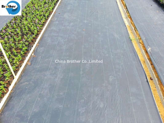 UV Treated Agriculture Weed Control Mat Black Plastic Mulch Ground Cover Weed Barrier Fabric supplier