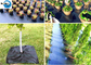UV Treated Agricultural 3.2m Woven Plastic Weed Control Mat Ground Cover Barrier Fabric Sheet supplier