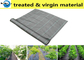 100% Anti-UV Green PP Weed Control Mat Ground Cover Barrier Landscape Fabric supplier
