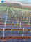 100% Anti-UV Green PP Weed Control Mat Ground Cover Barrier Landscape Fabric supplier