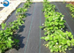 3.2m Agricultural Garden Plastic Woven Weed Control Mat Ground Cover Weed Barrier Fabric supplier