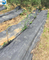 Agricultural Black Plastic Weed Mat Control Fabric Ground Cover Weed Control Fabric supplier