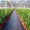 Wholesale Amazon Weed Barrier Weed Control Ground Cover Membrane Landscape Fabric supplier