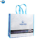 Cheap Price Custom Logo Eco Bag, Printed Recyclable Shopping Bag, Shopping Fold Tote PP Laminated Non Woven Bag supplier
