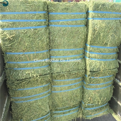 A premium grade fibrillated split-film twine PP baler twine for square bales supplier