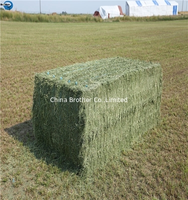 A premium grade fibrillated split-film twine PP baler twine for square bales supplier