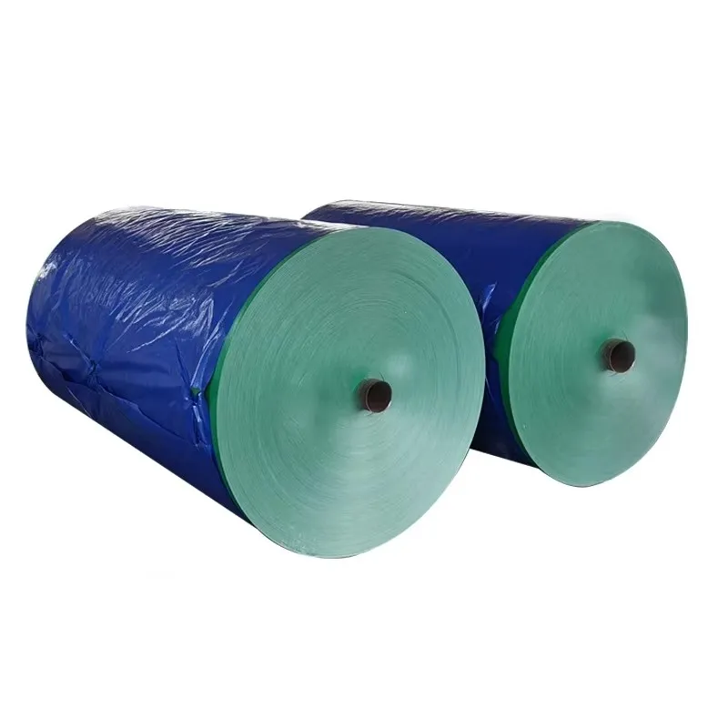 China Factory White PE Tarpaulin Rolls Waterproof and Sunproof