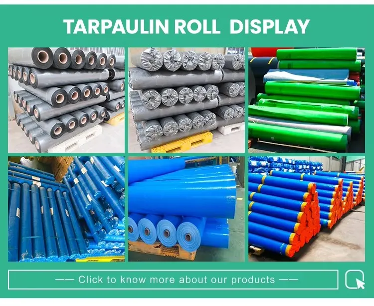 China Factory White PE Tarpaulin Rolls Waterproof and Sunproof