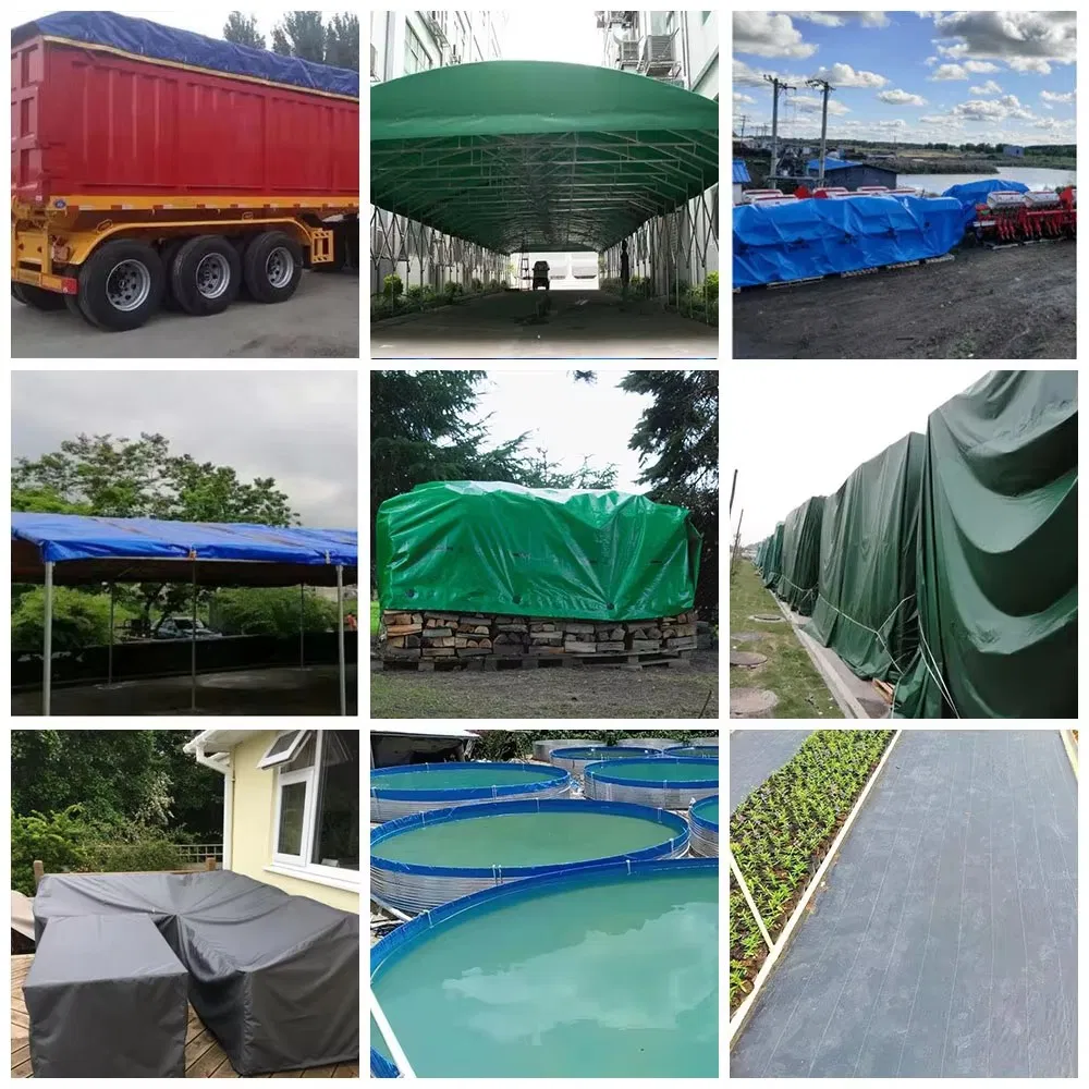 China Factory White PE Tarpaulin Rolls Waterproof and Sunproof