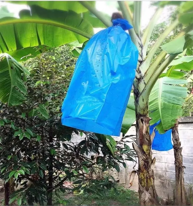 Perforated Polyethylene Plastic Banana Protection Bag Banana Bunch Cover Supplier