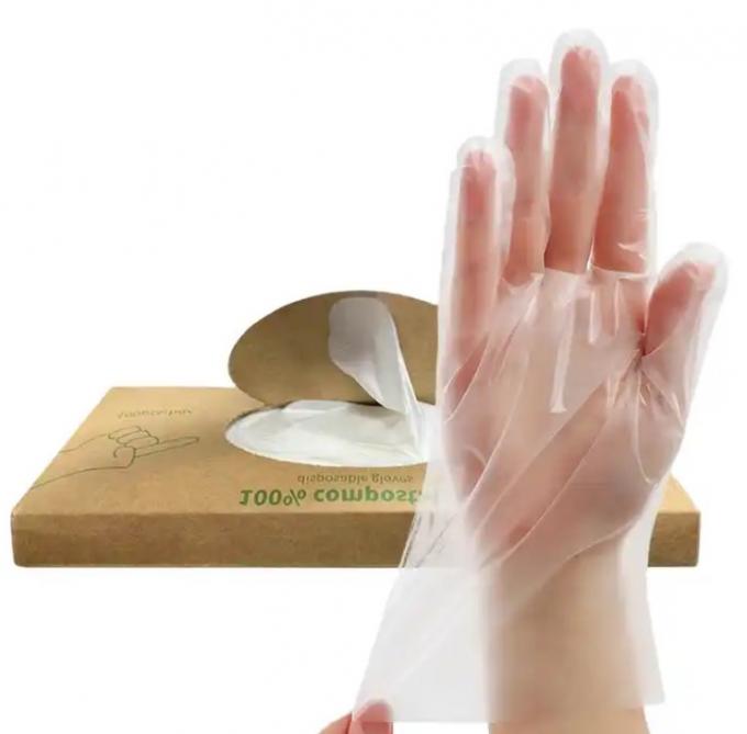 Transparent Biodegradable Disposable Gloves Middle Size 100pcs/Box for Parties 1